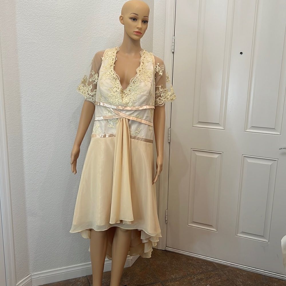 Izilady Dress Champagne Gold Lace Beaded Evening Mother Bride Dress Formal New